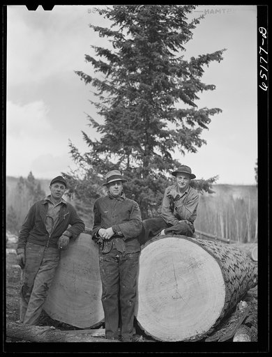 Untitled photo, possibly related to: Kalispell, Montana. FSA (Farm Security Administration) borrowers employed at the cooperative sawmill. They receive wages in lumber which they use for farm building repairs. Most of the borrowers on this project are from the drought areas of eastern Montana and Da
