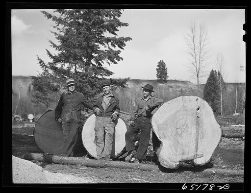 Kalispell, Montana. FSA (Farm Security Administration) borrowers employed at the cooperative sawmill. They receive wages in lumber which they use for farm building repairs. Most of the borrowers on this project are from the drought areas of eastern Montana and Dakota