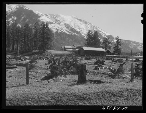 Flathead valley special area project, Montana. Stump farm
