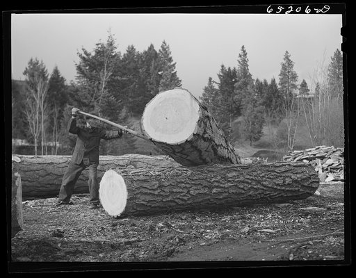 Kalispell, Montana. Flathead valley special area project. Sawmill worker at FSA (Farm Security Administration) cooperative sawmill