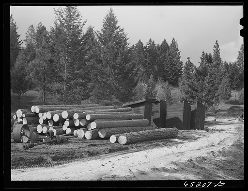 Kalispell, Montana. Flathead valley special area project. WPA (Work Projects Administration) privies built at FSA (Farm Security Administration) cooperative sawmill