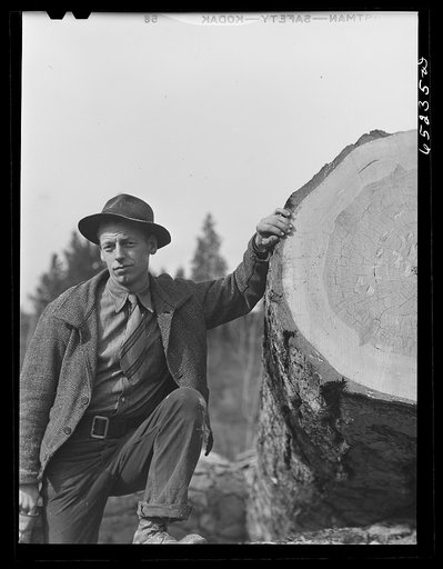 Kalispell, Montana. Flathead valley special area project. Lawrence Thompson, FSA (Farm Security Administration) borrower