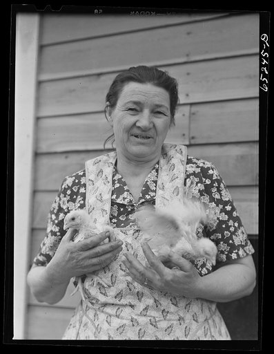 Untitled photo, possibly related to: Flathead Valley special area project, Montana. Mrs. Albert Ward. They came here from Missouri