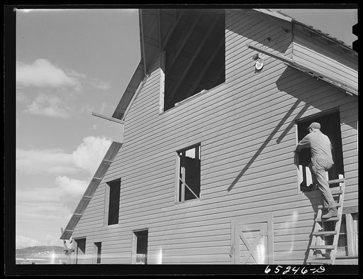 Flathead Valley special area project, Montana. Milton Stiles, FSA (Farm Security Administration) borrower, building a barn