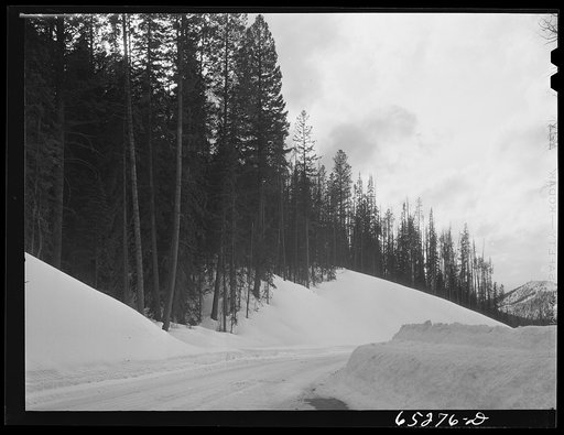 Ravalli County, Montana. Gibbons Pass on the Continental Divide