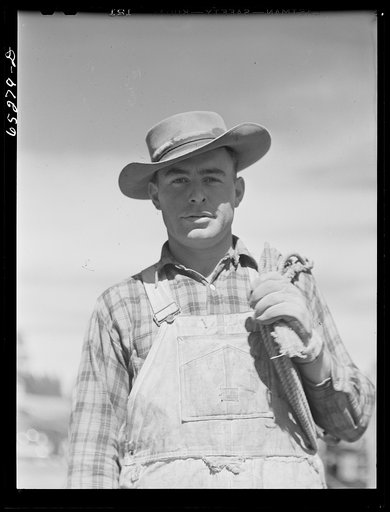 Bitterroot Valley, Ravalli County, Montana. Cowboy