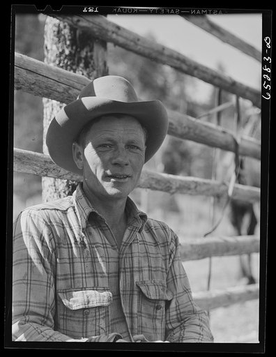 Bitterroot Valley, Ravalli County, Montana. Cowboy