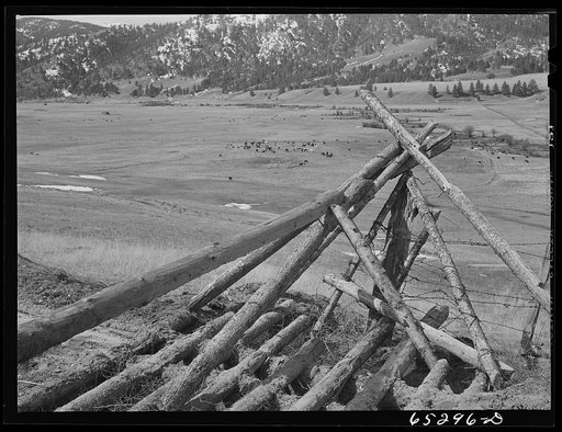 Bitterroot Valley, Montana. Cattle guard at road leading out of Ross's Hole