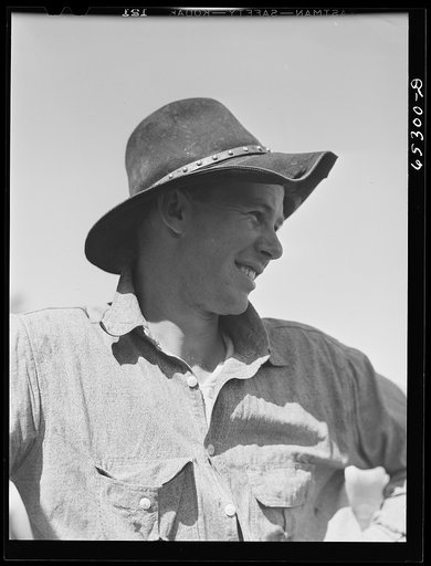 Bitterroot Valley, Montana. Cowboy