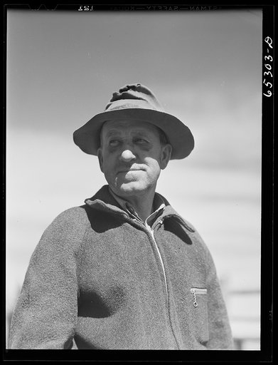Bitterroot Valley, Montana. Rancher