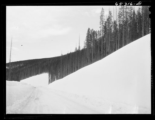 Ravalli County, Montana. Gibbons Pass on U.S. highway number ninety-three