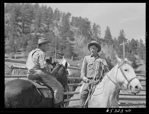 Bitterroot Valley, Montana. Cowboys