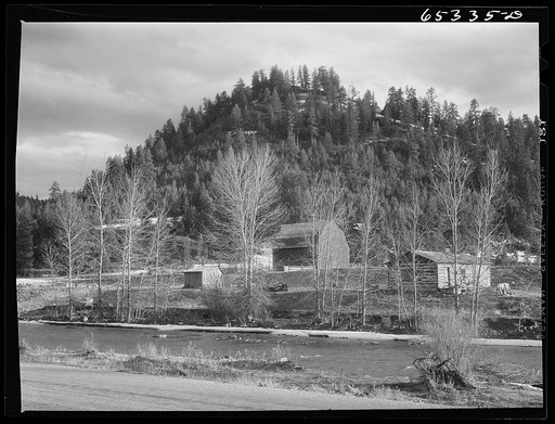 Bitterroot Valley, Ravalli County, Montana. Farm