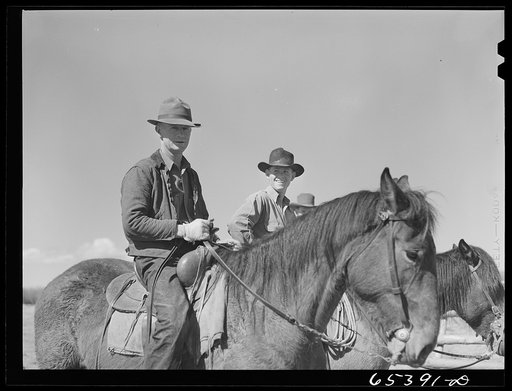 Untitled photo, possibly related to: Beaverhead County, Montana. Cowhands on the Spokane Ranch