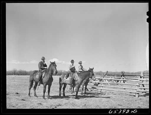 Untitled photo, possibly related to: Beaverhead County, Montana. Cowhands on the Spokane Ranch