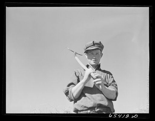 Untitled photo, possibly related to: Beaverhead County, Montana. Loading hay wagon for cattle feeding, Spokane Ranch