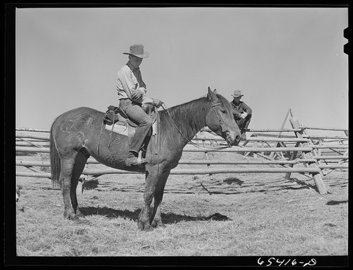 Untitled photo, possibly related to: Beaverhead County, Montana. Cowhands on the Spokane Ranch