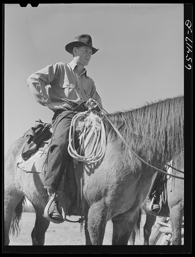 Beaverhead County, Montana. Cowhand on the Spokane Ranch