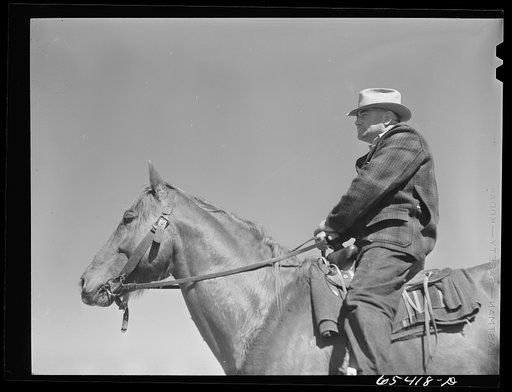 Untitled photo, possibly related to: Beaverhead County, Montana. Cowhand on the Spokane Ranch
