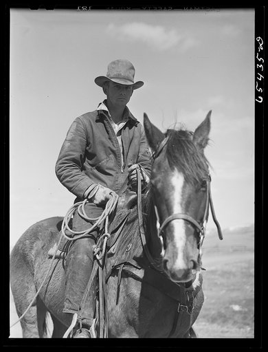 Untitled photo, possibly related to: Beaverhead County, Montana. Rancher's son in the Big Hole Basin
