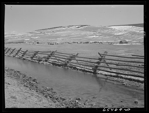 Beaverhead County, Montana. Winter feeding in the Big Hole Basin. The cattle are not sent out on the range until late May