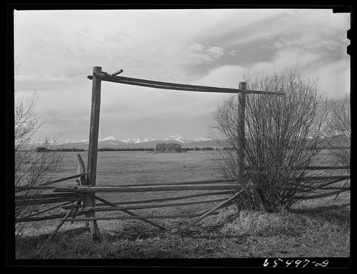 Beaverhead County, Montana. Hay meadow in the Big Hole Basin