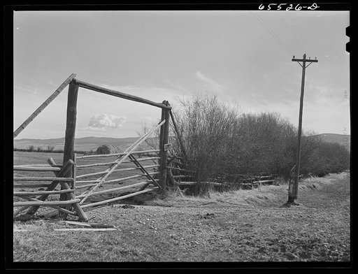 Beaverhead County, Montana. Hayfield in the Big Hole Basin
