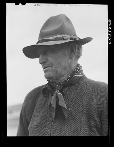 Untitled photo, possibly related to: Ravalli County, Montana. Clarence Goff's sheep farm