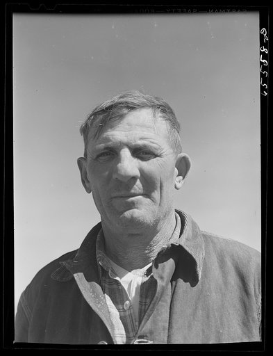 Beaverhead County, Montana. Lambing hand on a sheep ranch