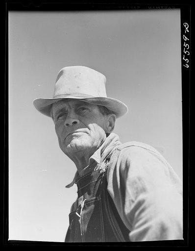Untitled photo, possibly related to: Beaverhead County, Montana. Lambing hand on sheep farm