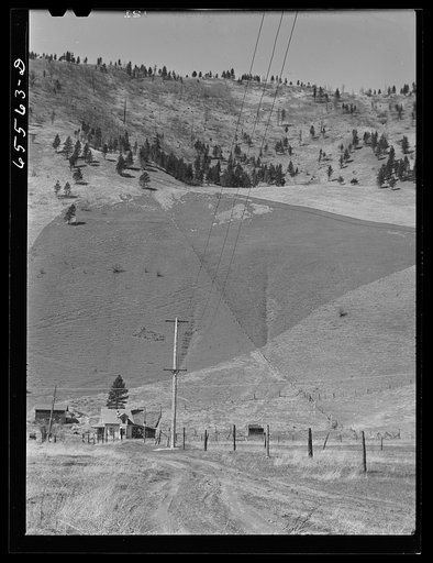 Untitled photo, possibly related to: Missoula, Montana (vicinity). Farm