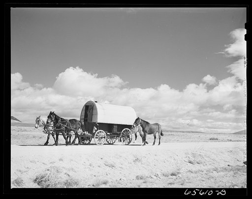 Beaverhead County, Montana. Sheepherder going out on the range with his outfit