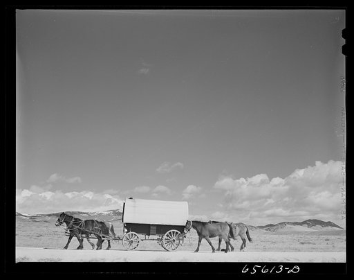 Beaverhead County, Montana. Sheepherder going out on the range with his outfit