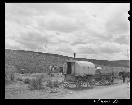 Untitled photo, possibly related to: Moffatt County, Colorado. Sheepherder's outfit