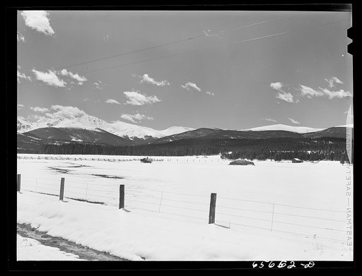 Grand County, Colorado. Winter feedlot