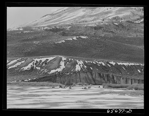 Untitled photo, possibly related to: Grand County, Colorado. Sheep grazing land
