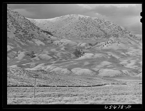 Grand County, Colorado. Sheep grazing land