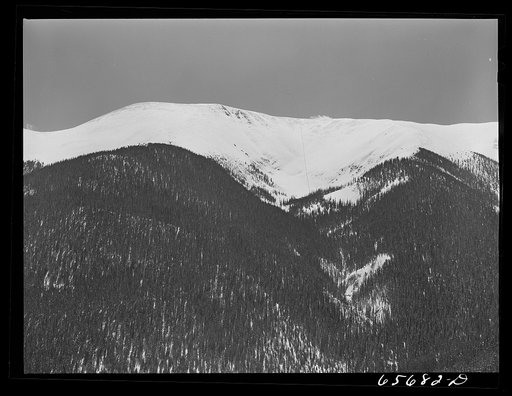Arapahoe National Forest