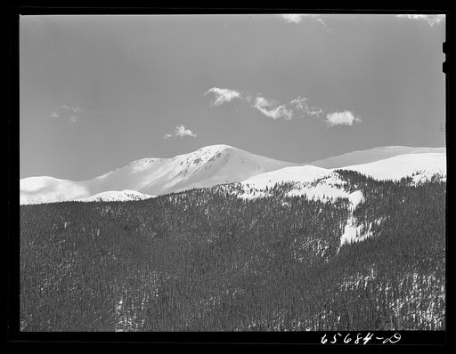 Arapahoe National Forest