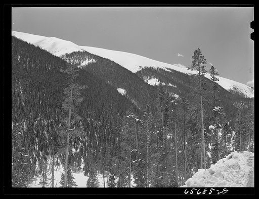 Untitled photo, possibly related to: Arapahoe National Forest