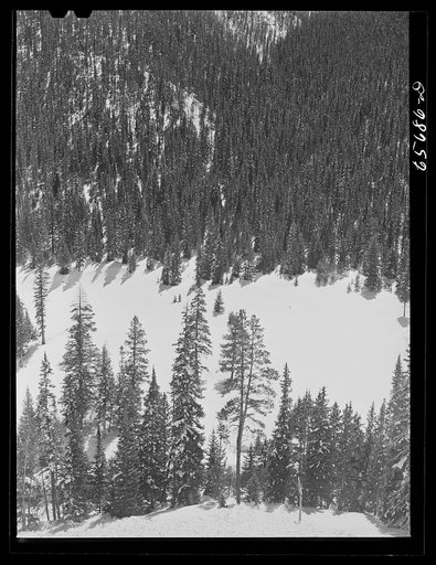 Untitled photo, possibly related to: Arapahoe National Forest