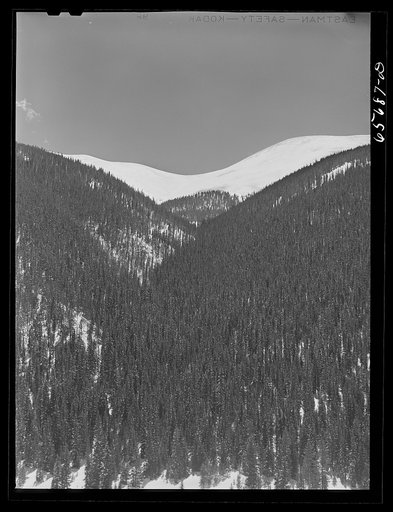 Arapahoe National Forest