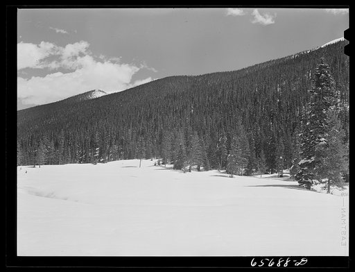 Untitled photo, possibly related to: Arapahoe National Forest