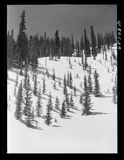 Arapahoe County, Colorado