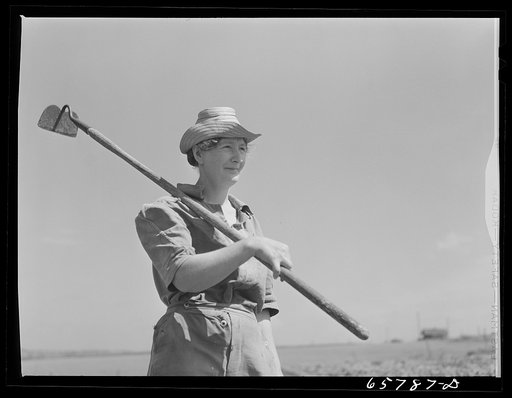 Untitled photo, possibly related to: Lancaster County, Nebraska. Mrs. Thelander, FSA (Farm Security Administration) borrower, working in her garden