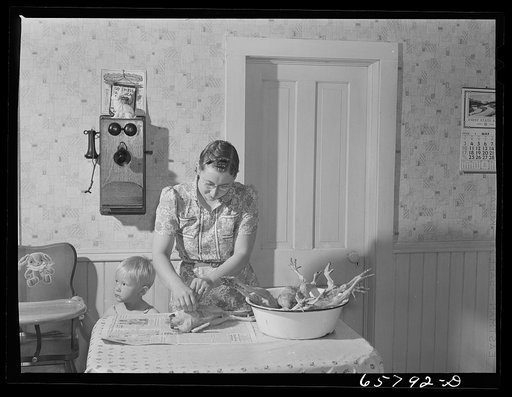 Lancaster County, Nebraska. Mrs. Lynn May, FSA (Farm Security Administration) borrower, cleaning a chicken