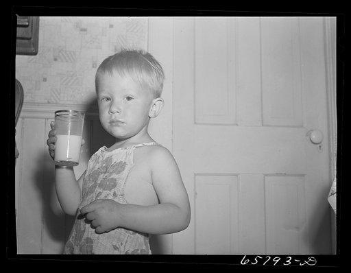 Lancaster County, Nebraska. Farm boy drinking milk