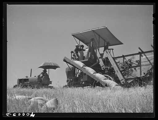 Tractor-drawn combine. Whitman County, Washington. Notice that wheat is sacked on combine