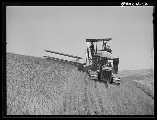 Tractor-drawn combine. Wheat fields, Whitman County, Washington