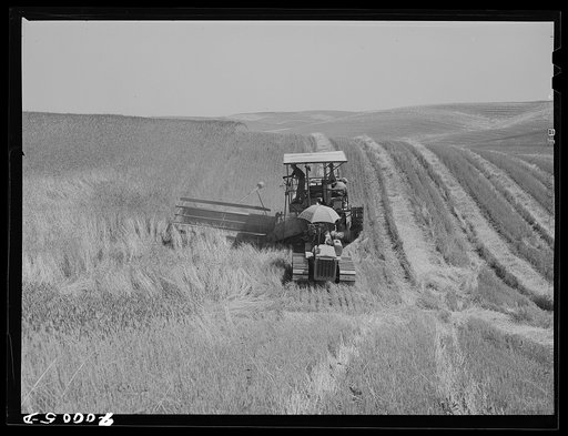 Untitled photo, possibly related to: Tractor-drawn combine. Wheat fields, Whitman County, Washington